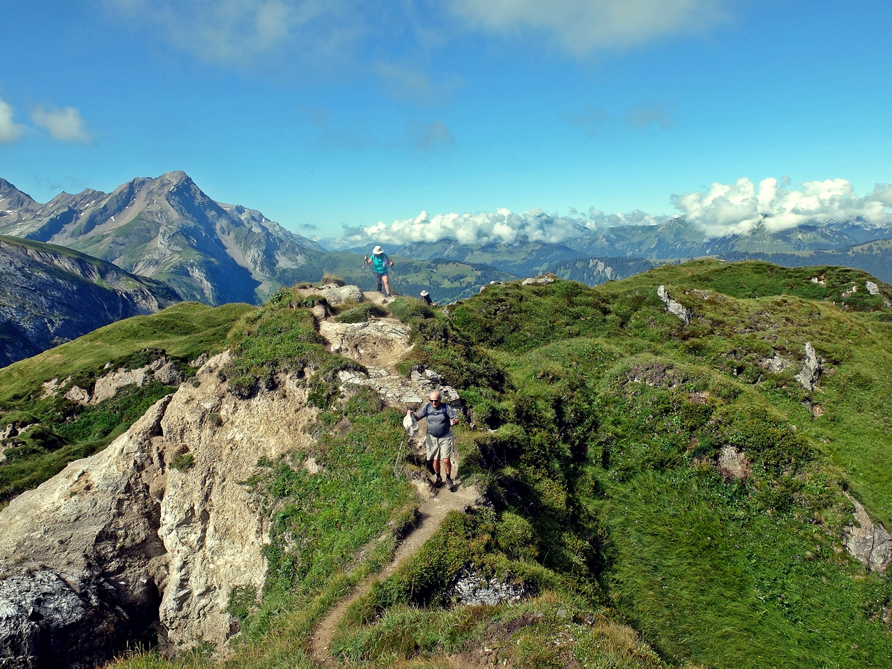 Bernese Oberland Traverse | Via Alpina | Alpine Pass Route