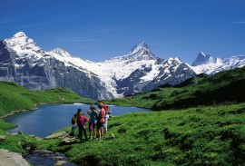 Best of Swiss Alps