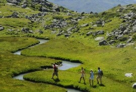 Hikers on Swiss trails in the Alps