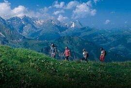 Hikers in a Green Mountain Range