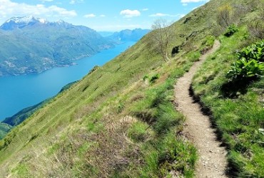 Trail above Lake Como