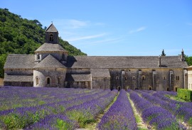 Abbey in Provence