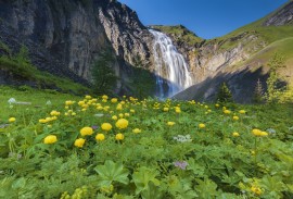 Engstligen Wasserfall mit Blumenwiese