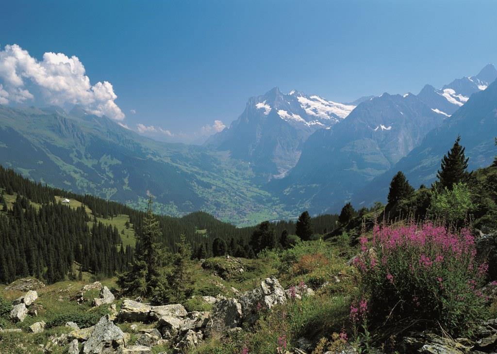 Grindelwald Hiking Eiger Trail