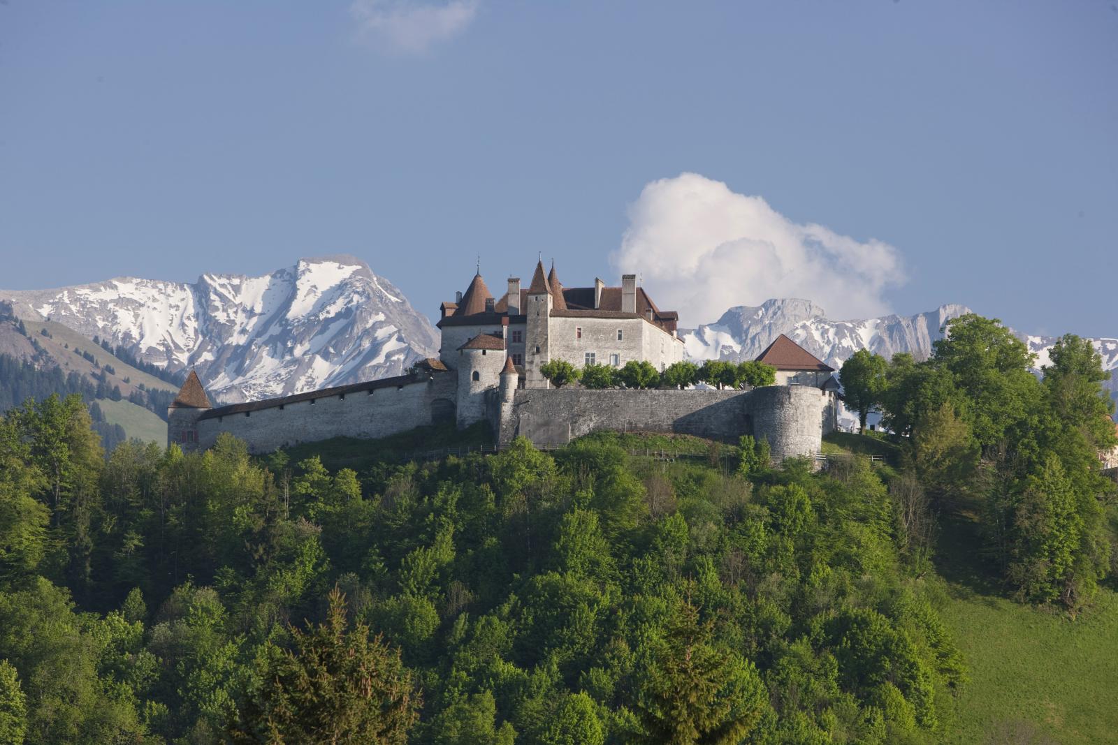 Castle in Switzerland