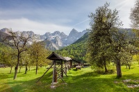 Wooden hayracks in Slovenia