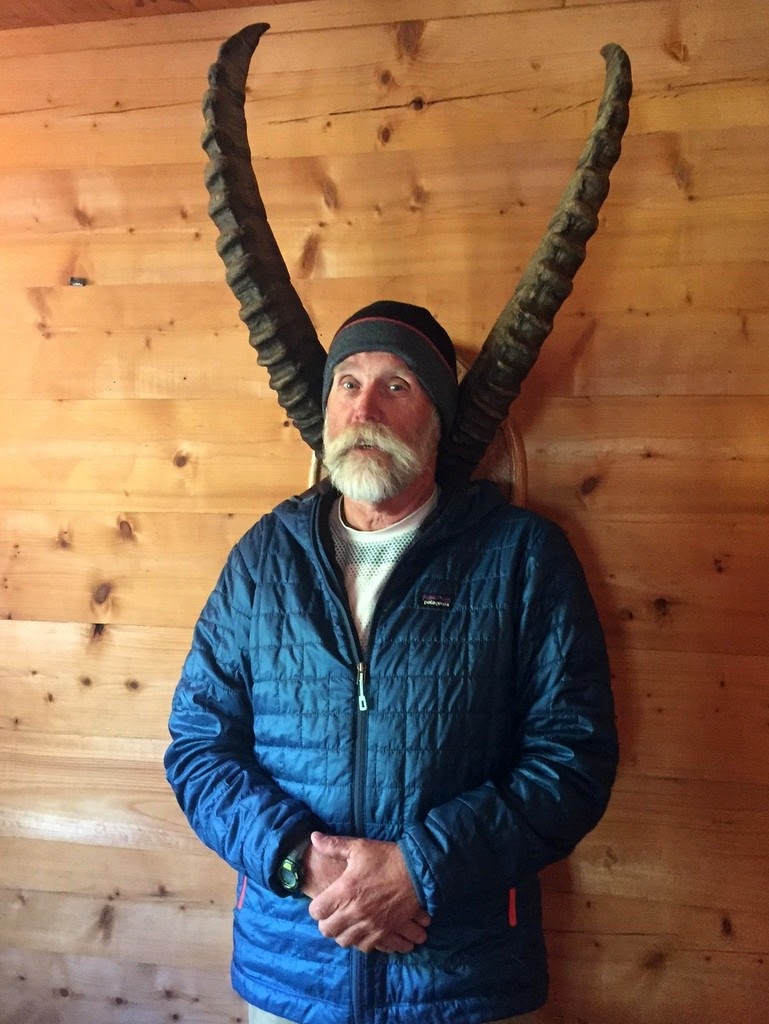 Ibex Horns at Cabane de Louvie