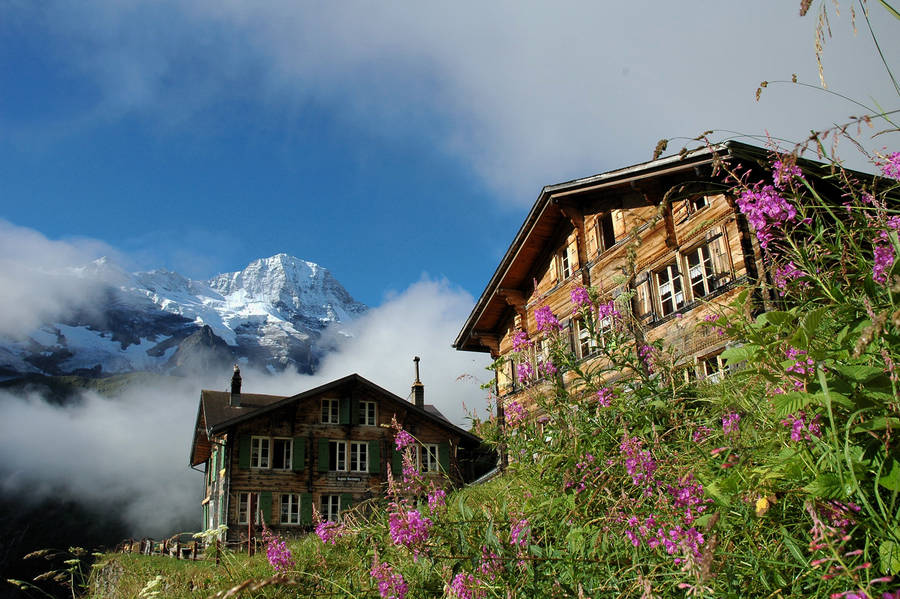 Berghotel Obersteinberg in the Jungfrau