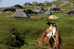 Farmer in Slovenia