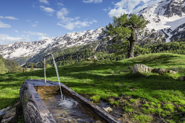 water trough in Switzerland