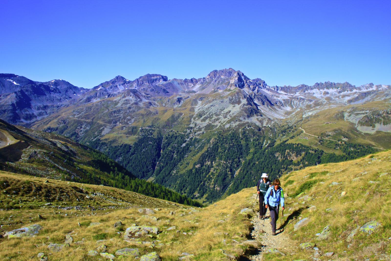 Hikers in the Swiss Alps